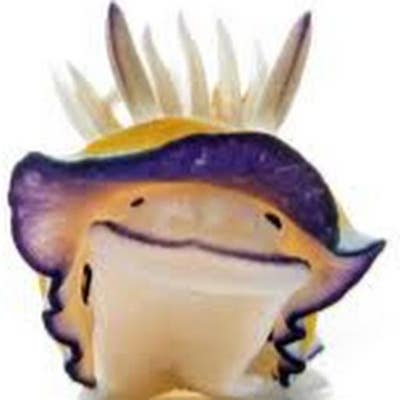 Room wanted in San Diego Main Photo