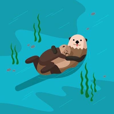 Room wanted in New York Main Photo