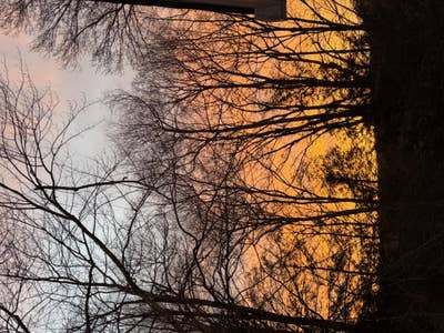 Room wanted in Newtown, Ct Main Photo