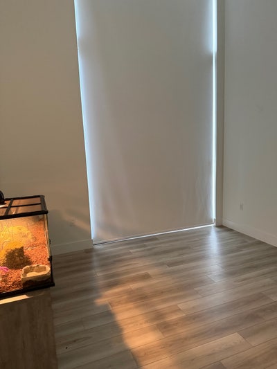 Free room for rent for female  Main Photo