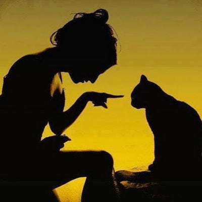 Room wanted in Hoboken, NJ Main Photo