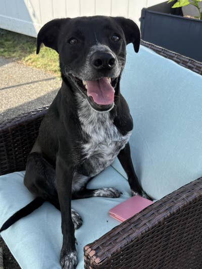 Room wanted in White Plains, NY Main Photo