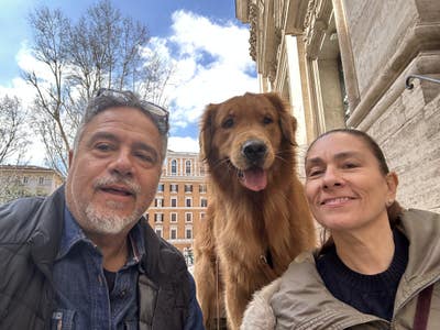 Room wanted in New York Main Photo