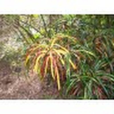 Room wanted in Wakefield, RI Main Photo