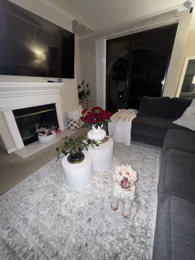 Cozy apartment in Mission Valley Main Photo