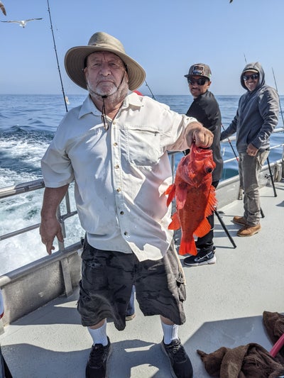 Reliable male looking for a room in LA Main Photo