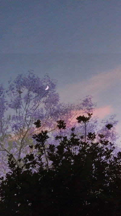 Room wanted in San Marcos, CA Main Photo