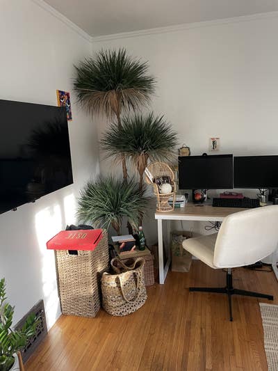 Beverly Grove Home - Room for Rent  Main Photo