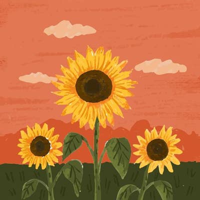 Room wanted in New Jersey Main Photo