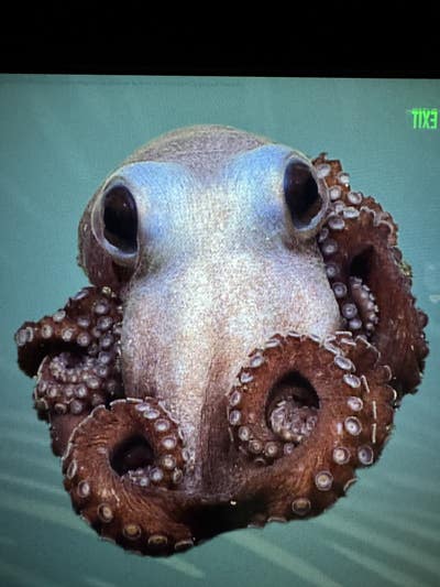 Room wanted in Santee, CA Main Photo