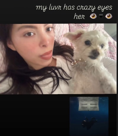 Responsible female looking for a room in LA Main Photo