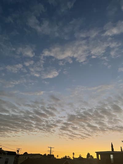 Female student looking for a room in Glendale Main Photo