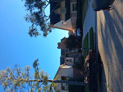 Female age 26 looking for a room in LA now Main Photo