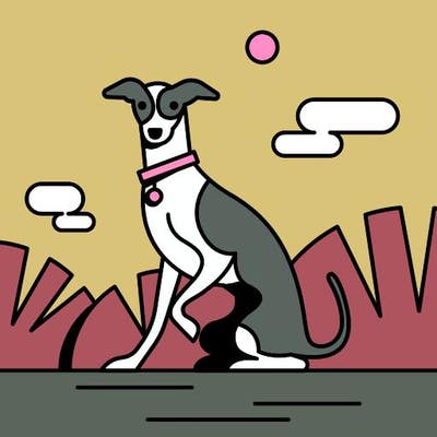 Room wanted in Phoenix Main Photo