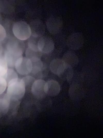 33 year old male looking for a room in LA Main Photo