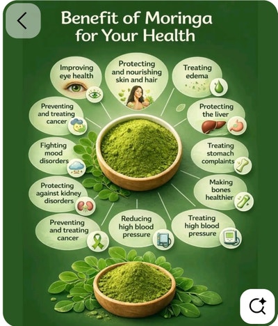 Room wanted in Savannah goergia Main Photo