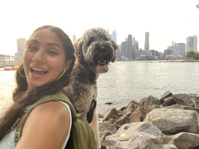 Room wanted in New York Main Photo