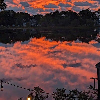 Room wanted in Manhattan, NY Main Photo