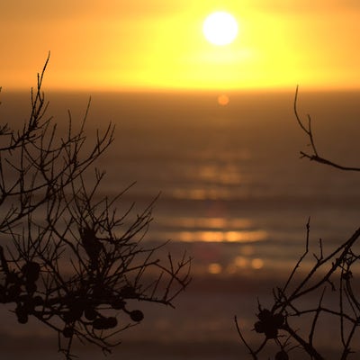 Room wanted in Oceanside, CA Main Photo