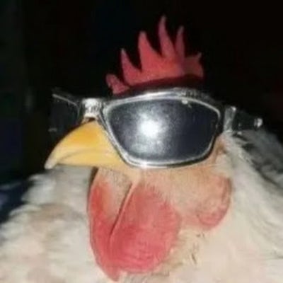 Room wanted in NYC Main Photo