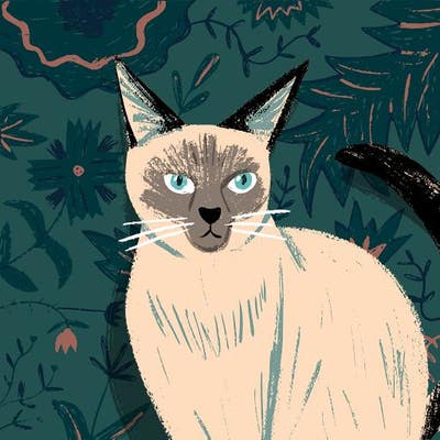 Room wanted in New York Main Photo