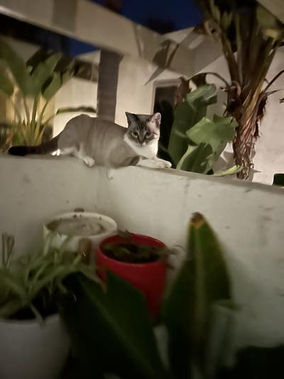 Playa Del Rey Bedroom Main Photo