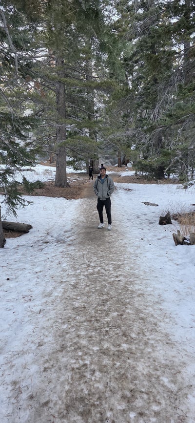 Student looking for a room in Los Angeles now Main Photo