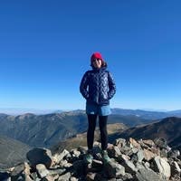 Room wanted in New York Main Photo