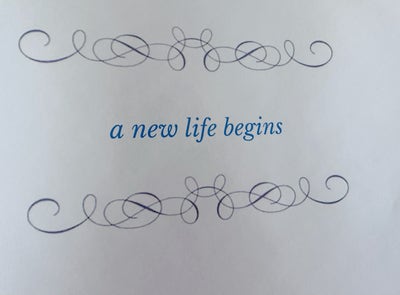 Room wanted in Brooklyn, NY Main Photo