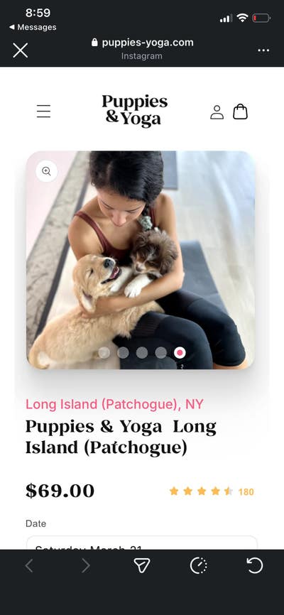 Room wanted in New York Main Photo