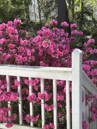 Furnished Room for Rent Main Photo