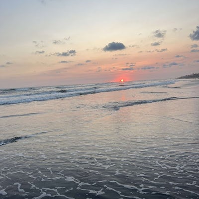 Student looking for a room in Inglewood now Main Photo