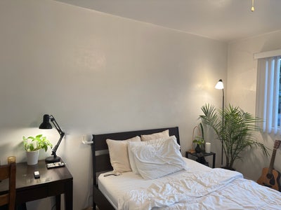 Private Room in West LA Main Photo