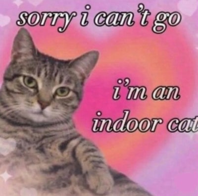 Room wanted in Brooklyn, NY Main Photo