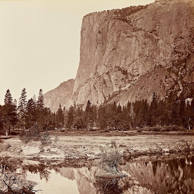 Room wanted in Manhattan, NY Main Photo