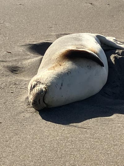 Male 41 looking for a room in Los Angeles Main Photo