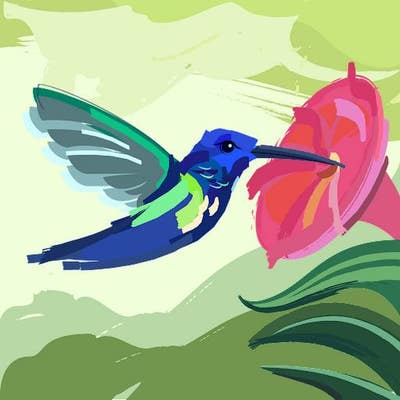 Room wanted in 75232 Main Photo