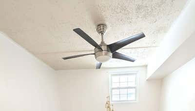 Room wanted in Brooklyn, NY Main Photo