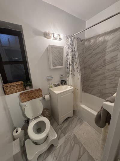 Room available in a 2B/2B East Village Apartment Main Photo
