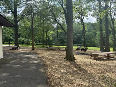 Room wanted in New Jersey Main Photo