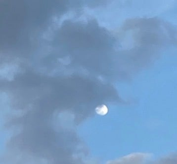 Room wanted in Greenville, SC Main Photo