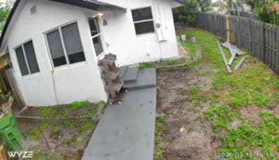 Room for Rent in Co_Living House with Other Profe Main Photo