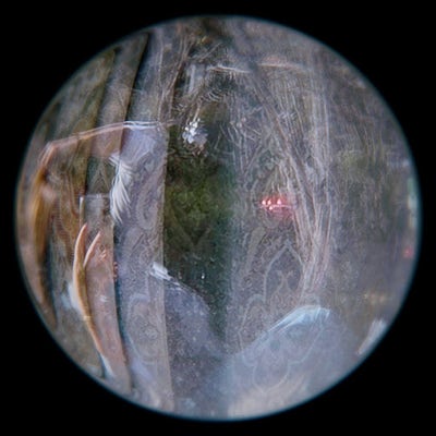 Room wanted in Austin Main Photo