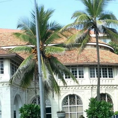 Room wanted in San Francisco Bay Area Main Photo