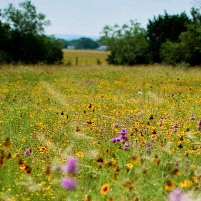 Room wanted in New Jersey Main Photo