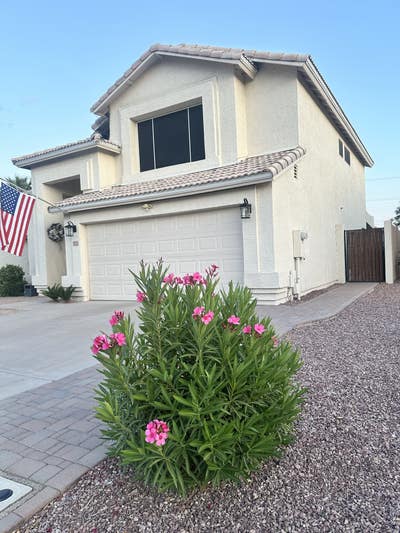 $950 all inclusive room near downtown Gilbert Main Photo