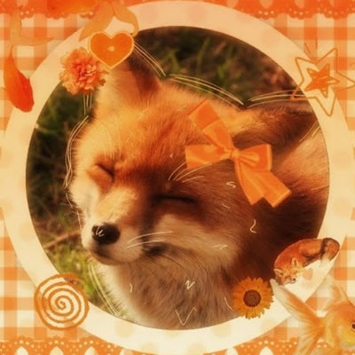 Room wanted in San Jose, Santa Clara County, CA Main Photo