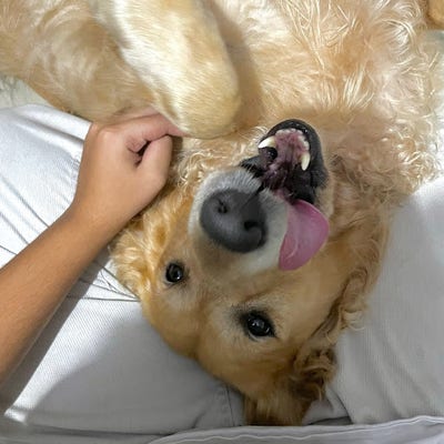 Woman looking for a room in Castaic to rent Main Photo