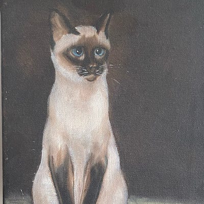 Room wanted in Brooklyn, NY Main Photo