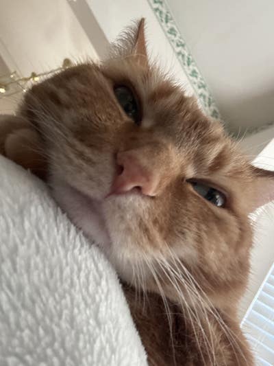 35 Mins to DC Top Neighborhood  Main Photo